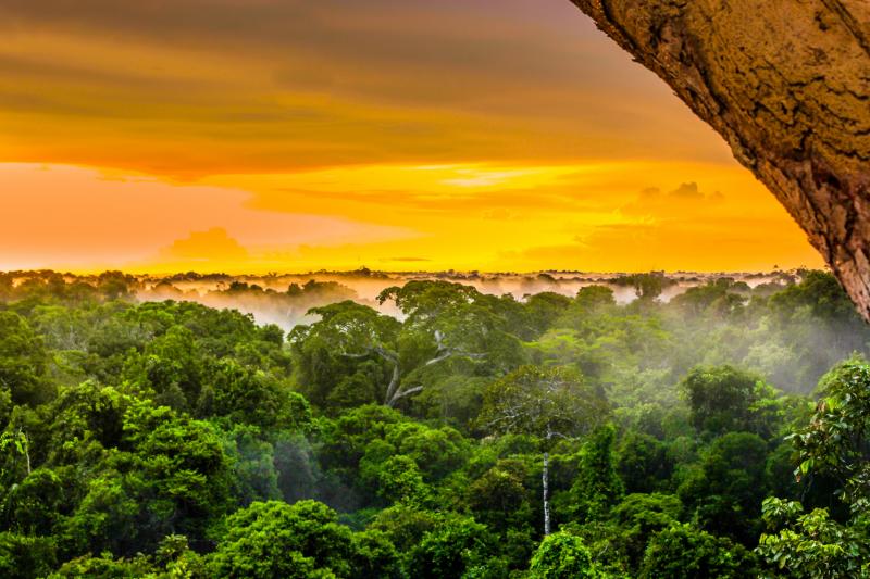 The-10-largest-rainforests-in-the-world.jpg