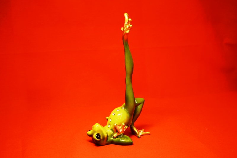 Лягушка гимнастка