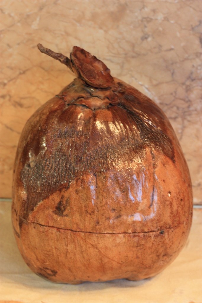 Ледница из кокоса