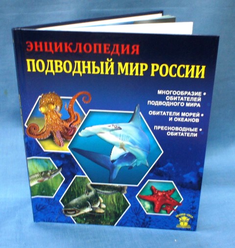 «Подводный мир России» книга