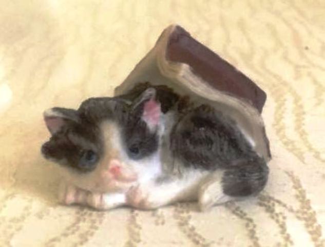 Кошка с книжкой