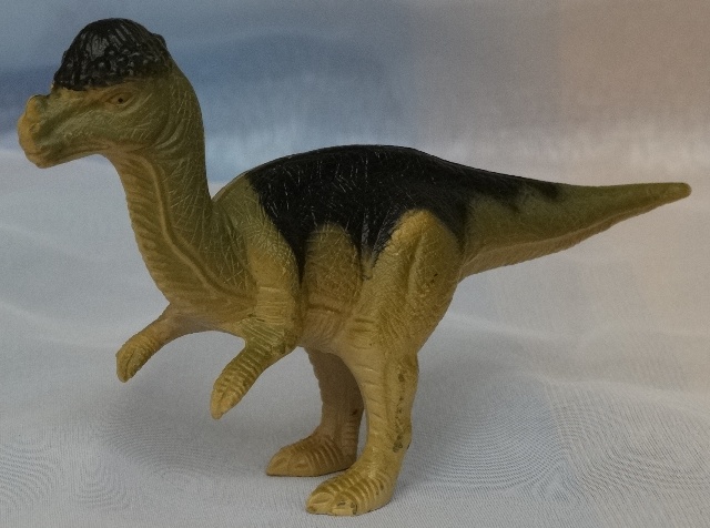 Пахицелозавр (тилоцефал)