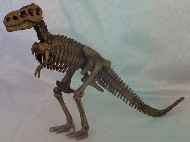 Модель скелета тираннозавра
