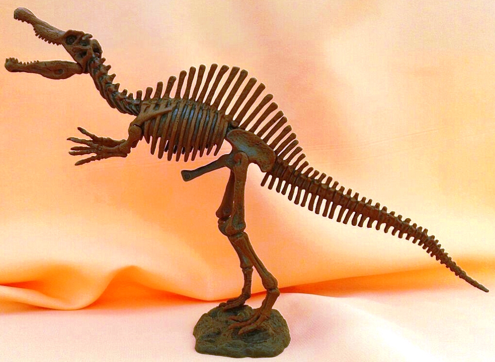 Спинозавр (скелет)