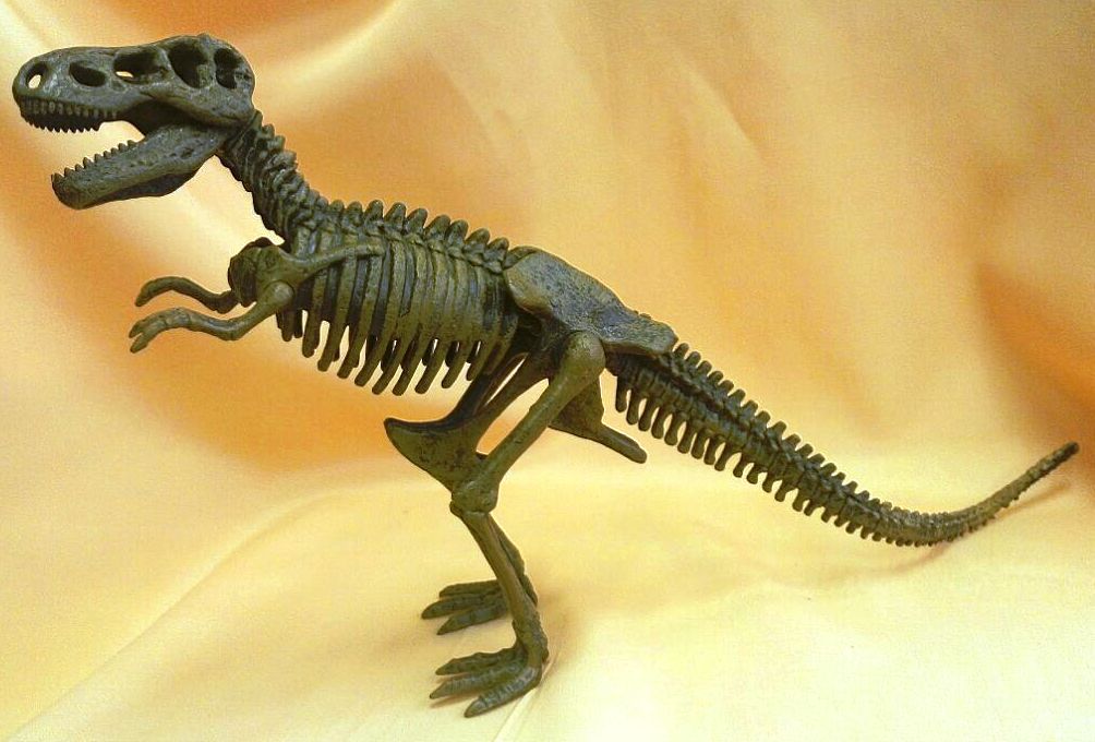Тираннозавр (ТиРекс) (скелет)