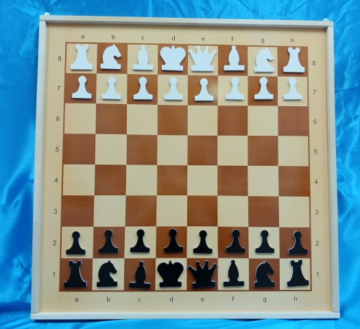 Шахматы «Настенные»